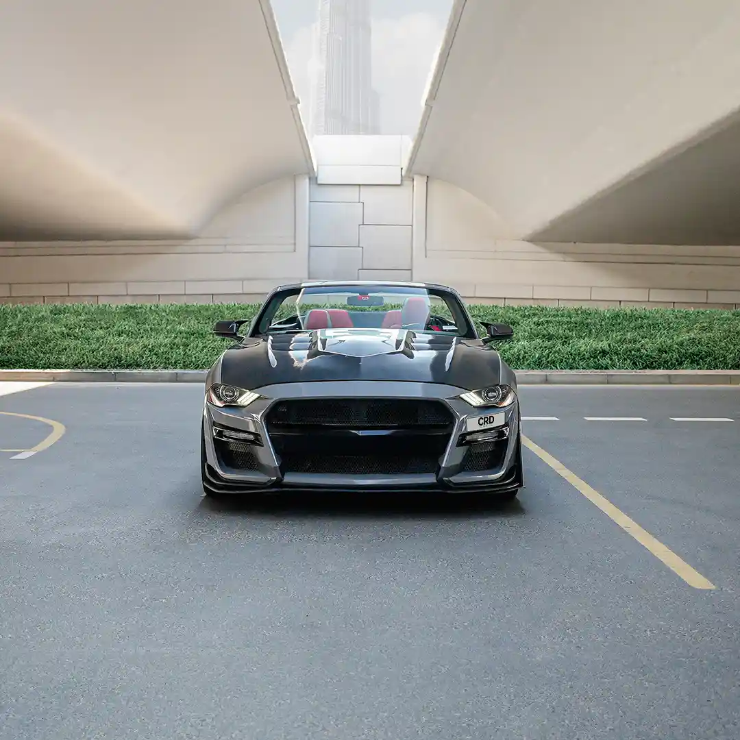 Ford Mustang – Gri + Siyah - 4