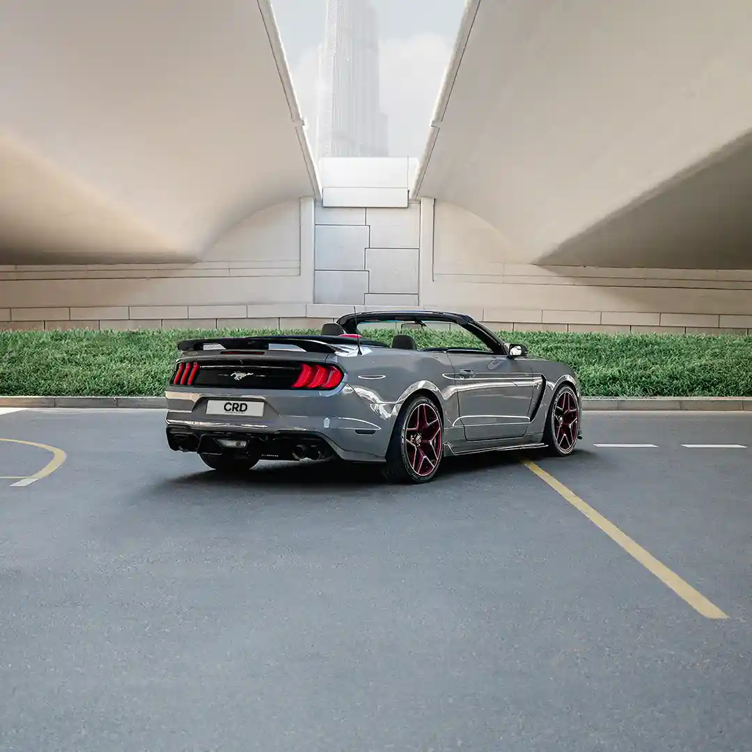 Ford Mustang – Gri + Siyah - Görsel 2