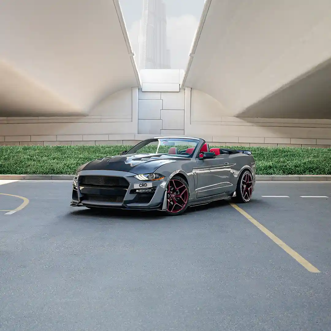 Ford Mustang – Gri + Siyah - Görsel 1