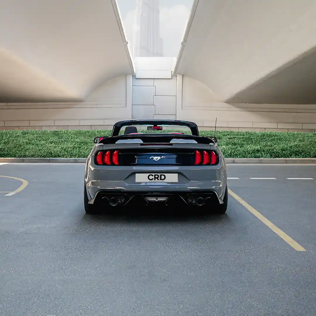 Ford Mustang – Gri + Siyah - 3