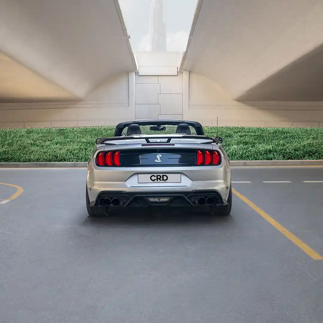 Ford Mustang – Silver + Blue - 3