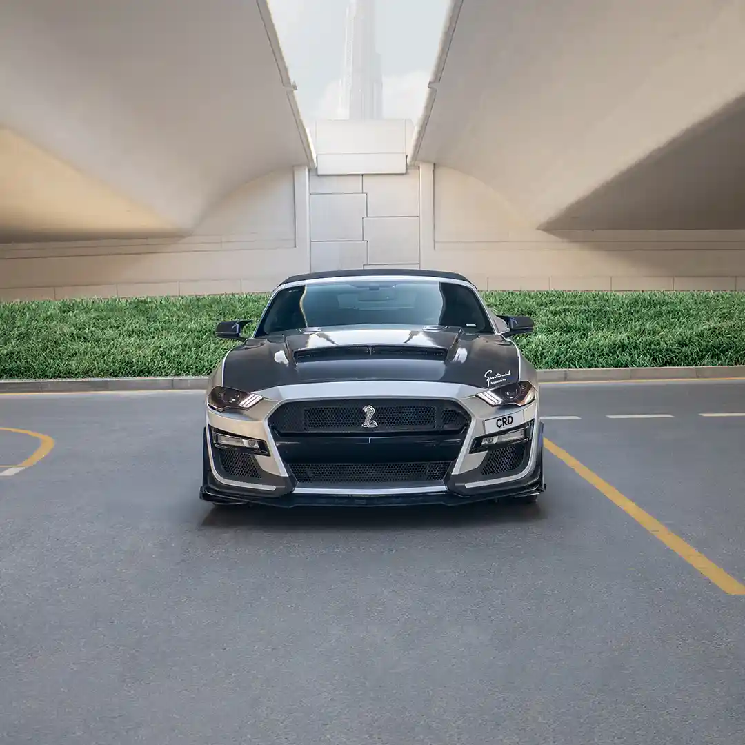 Ford Mustang – Silver + Blue - 4