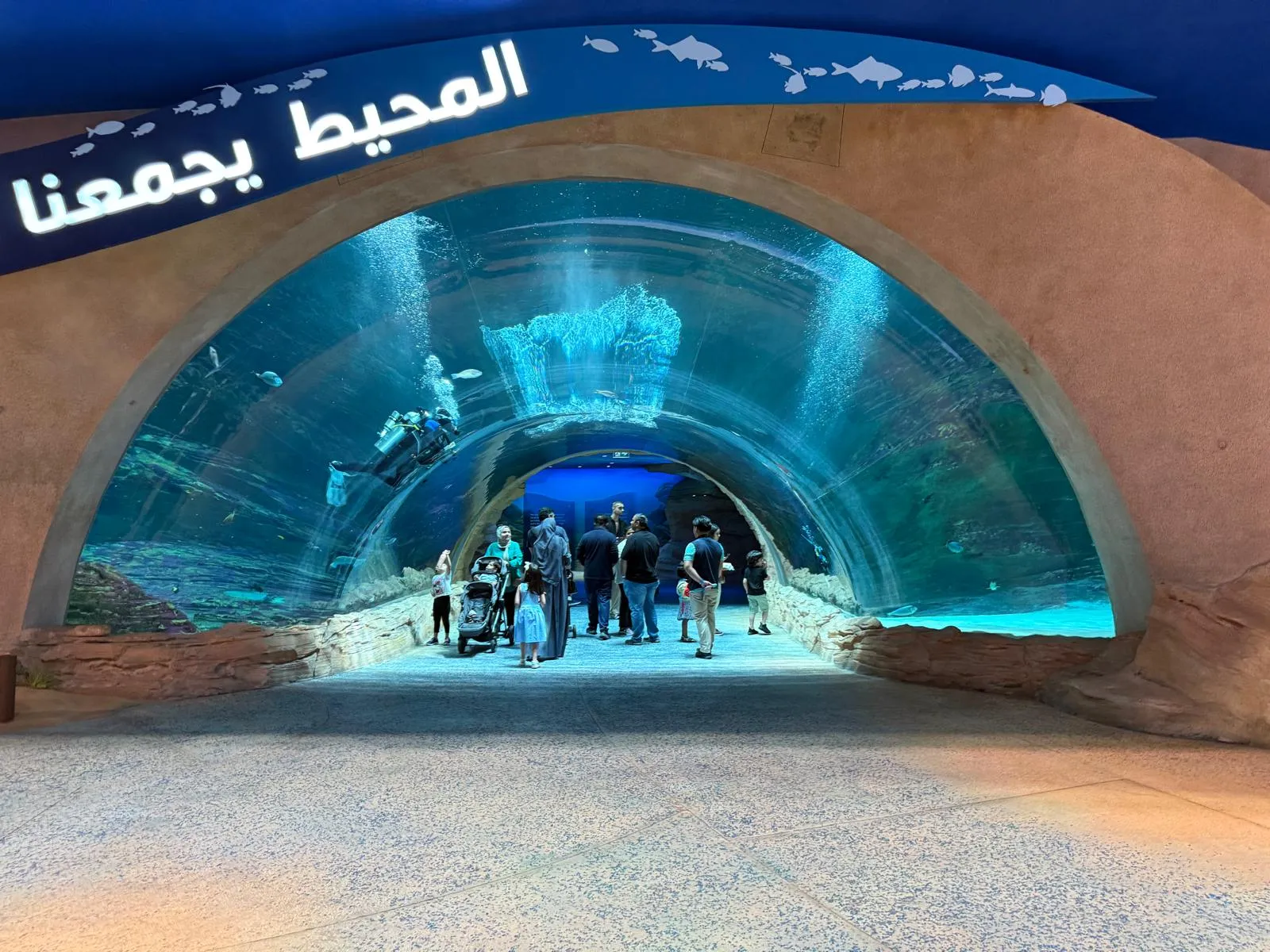 SeaWorld Yas Adası-Abu Dabi