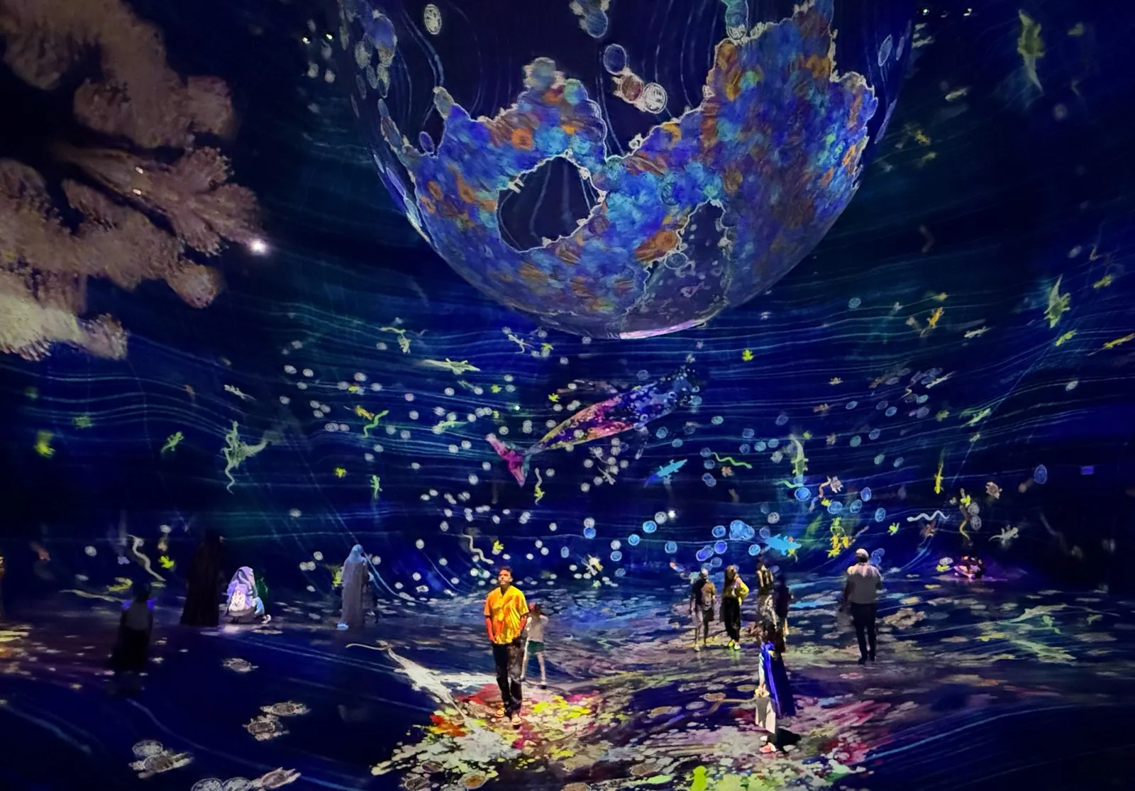 teamLab Phenomena Abu Dhabi