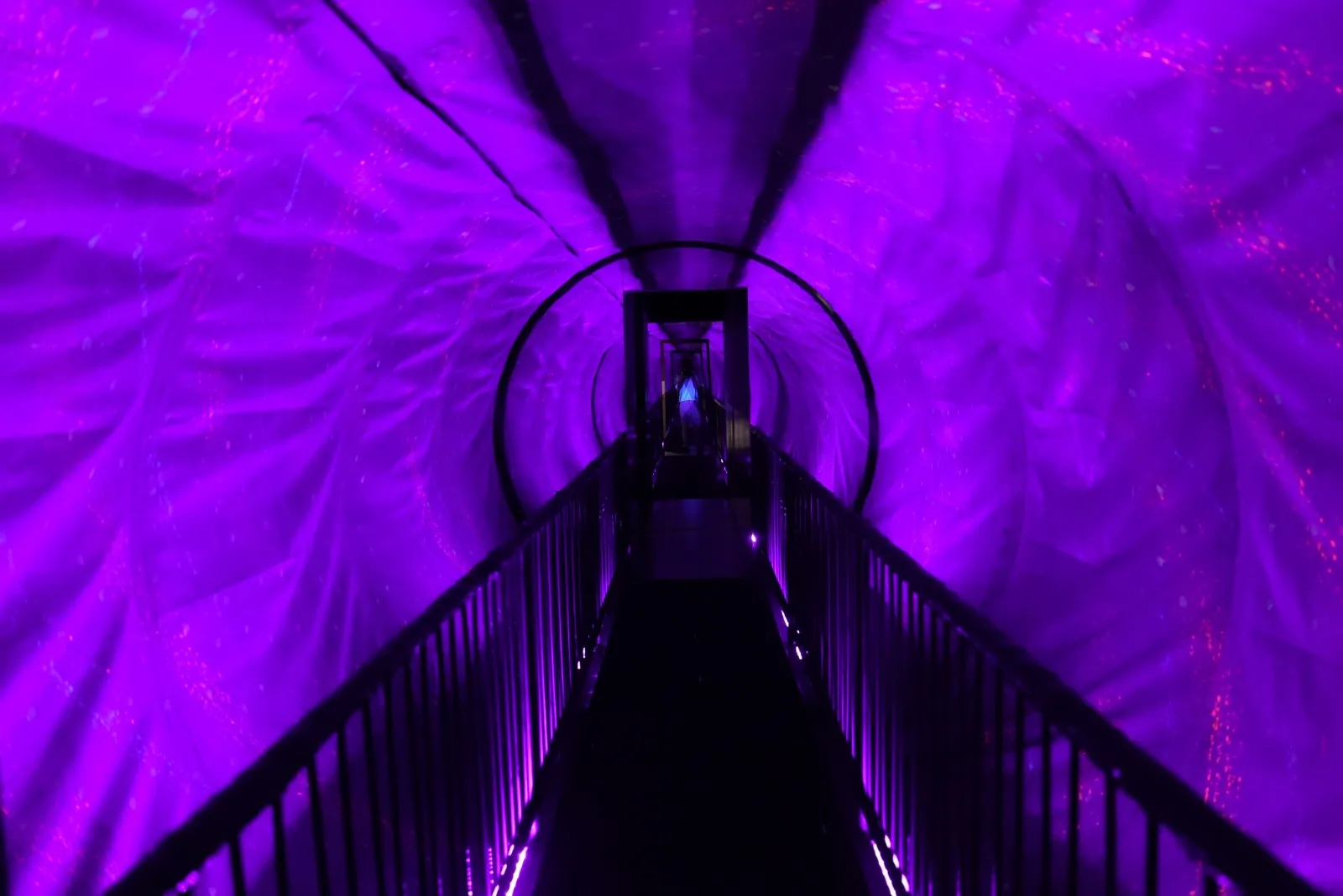 Museum of Illusions