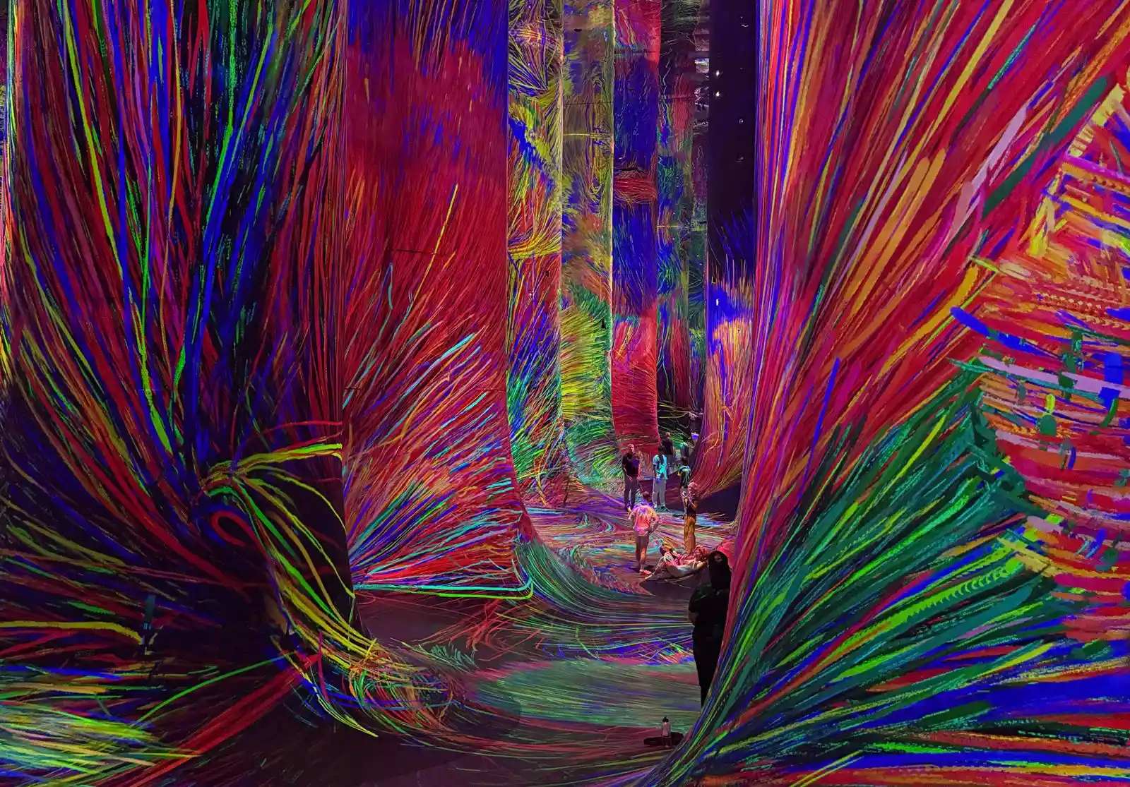 teamLab Phenomena Abu Dhabi