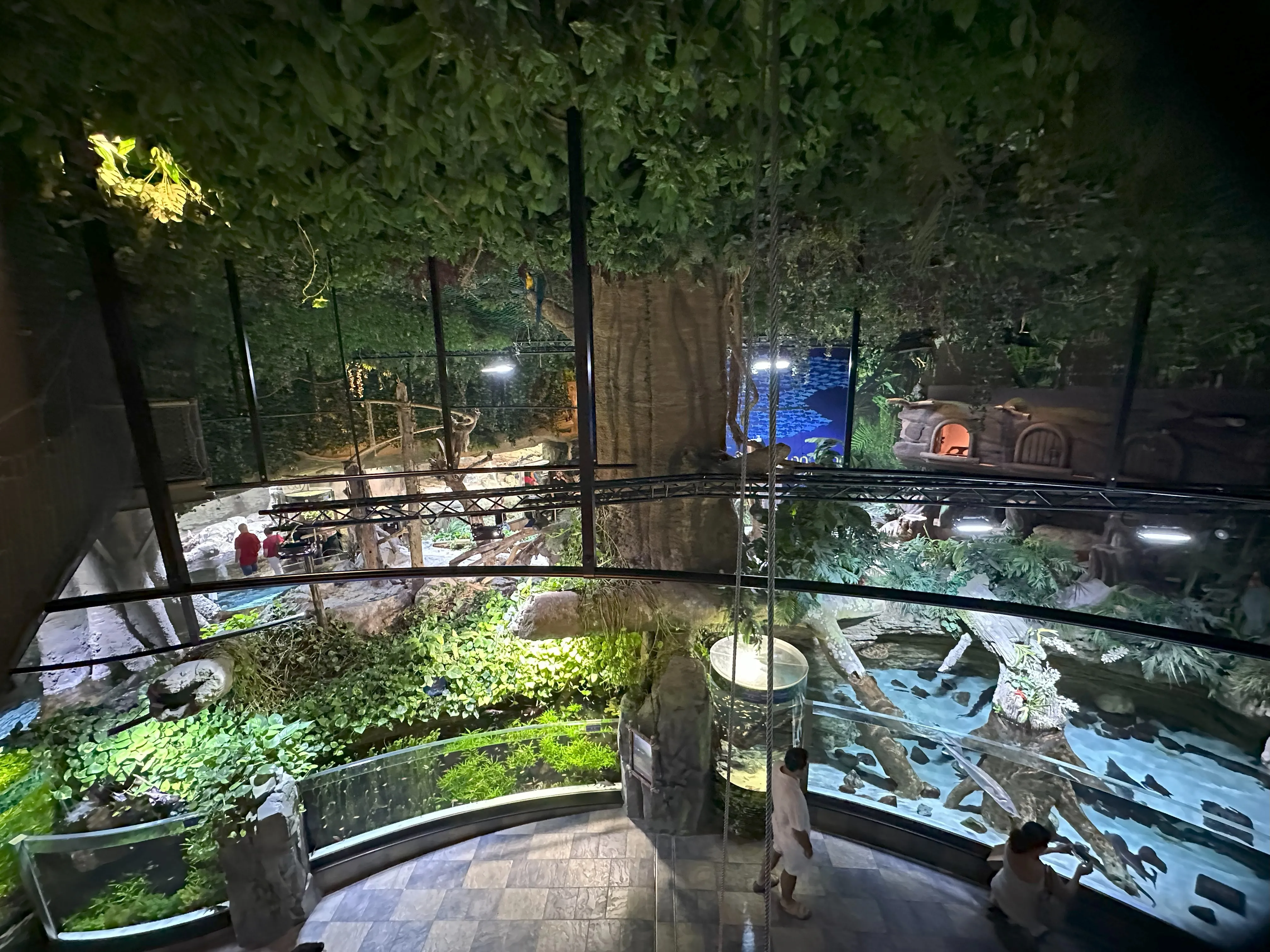 Dubai Aquarium & Underwater Zoo