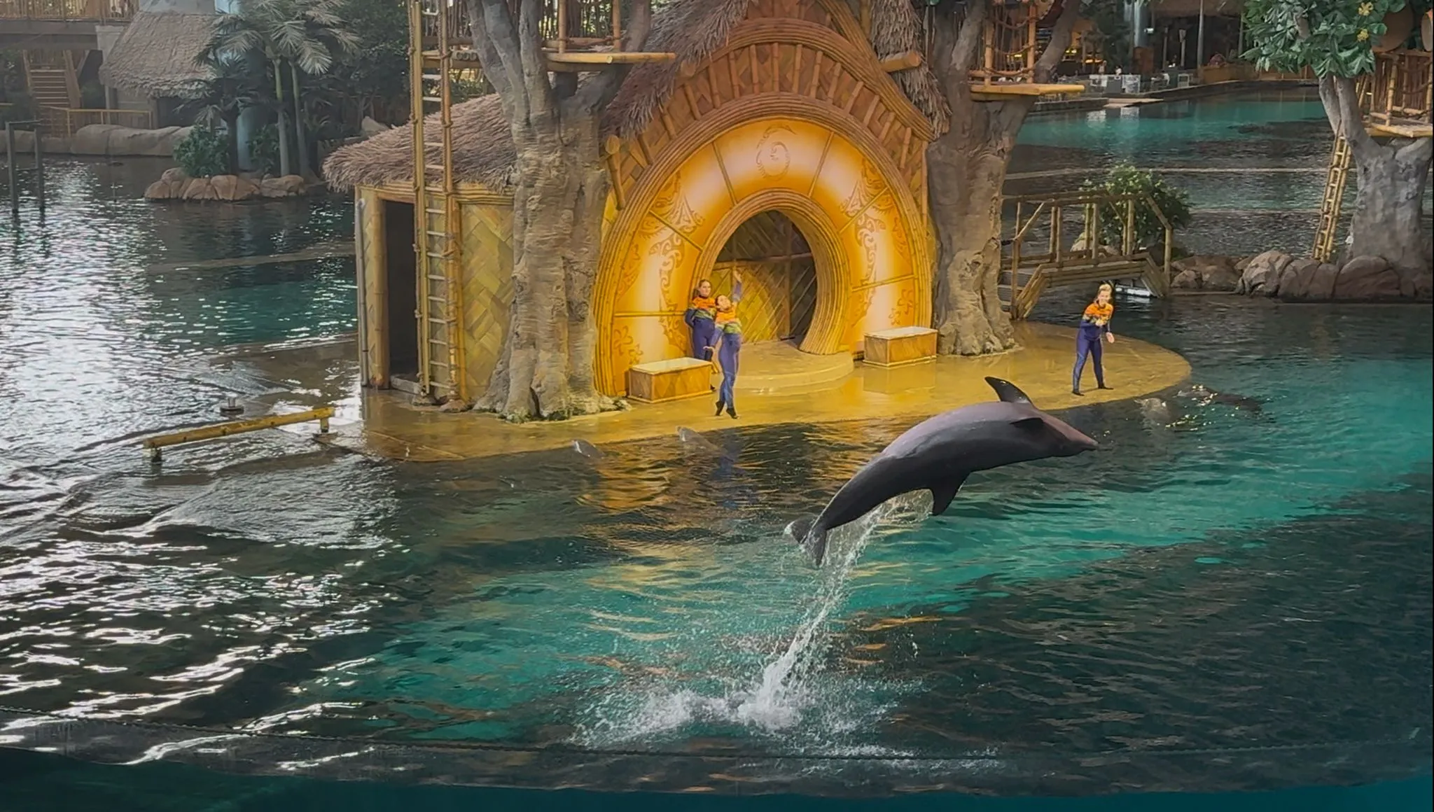 SeaWorld Yas Adası-Abu Dabi