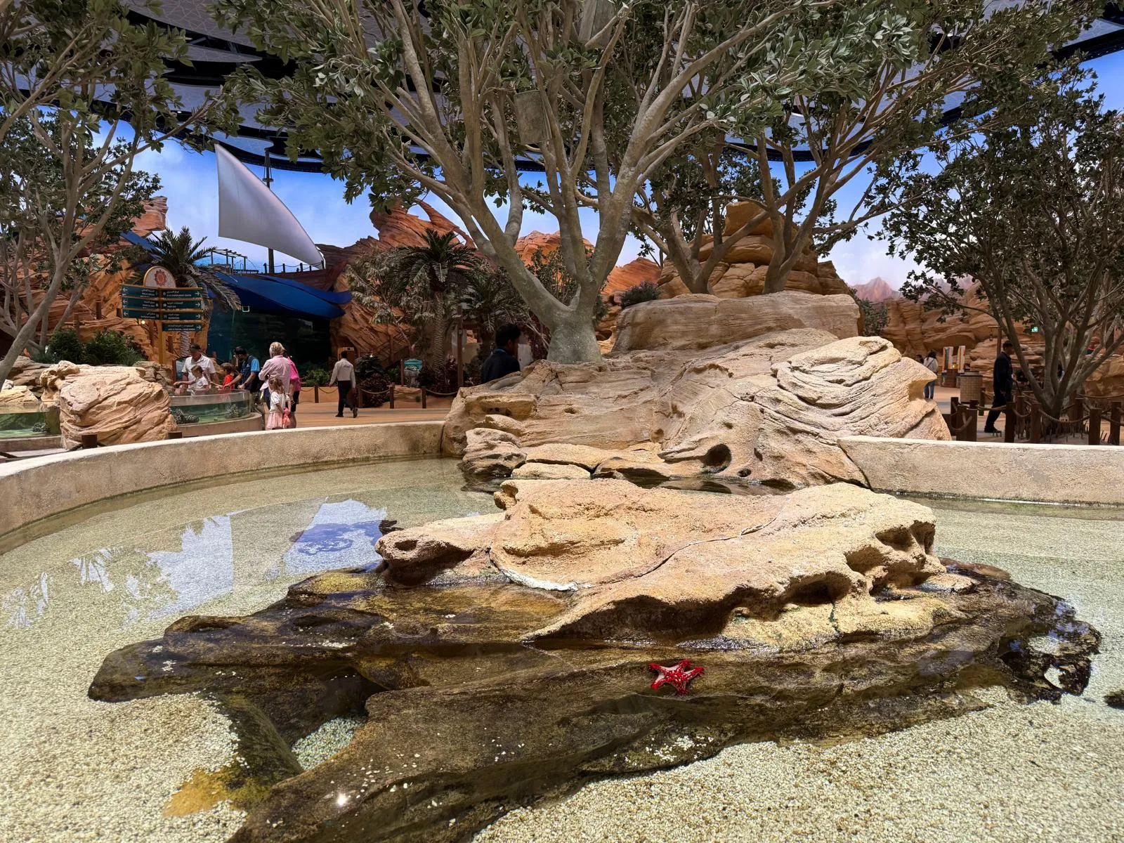 SeaWorld Yas Adası-Abu Dabi