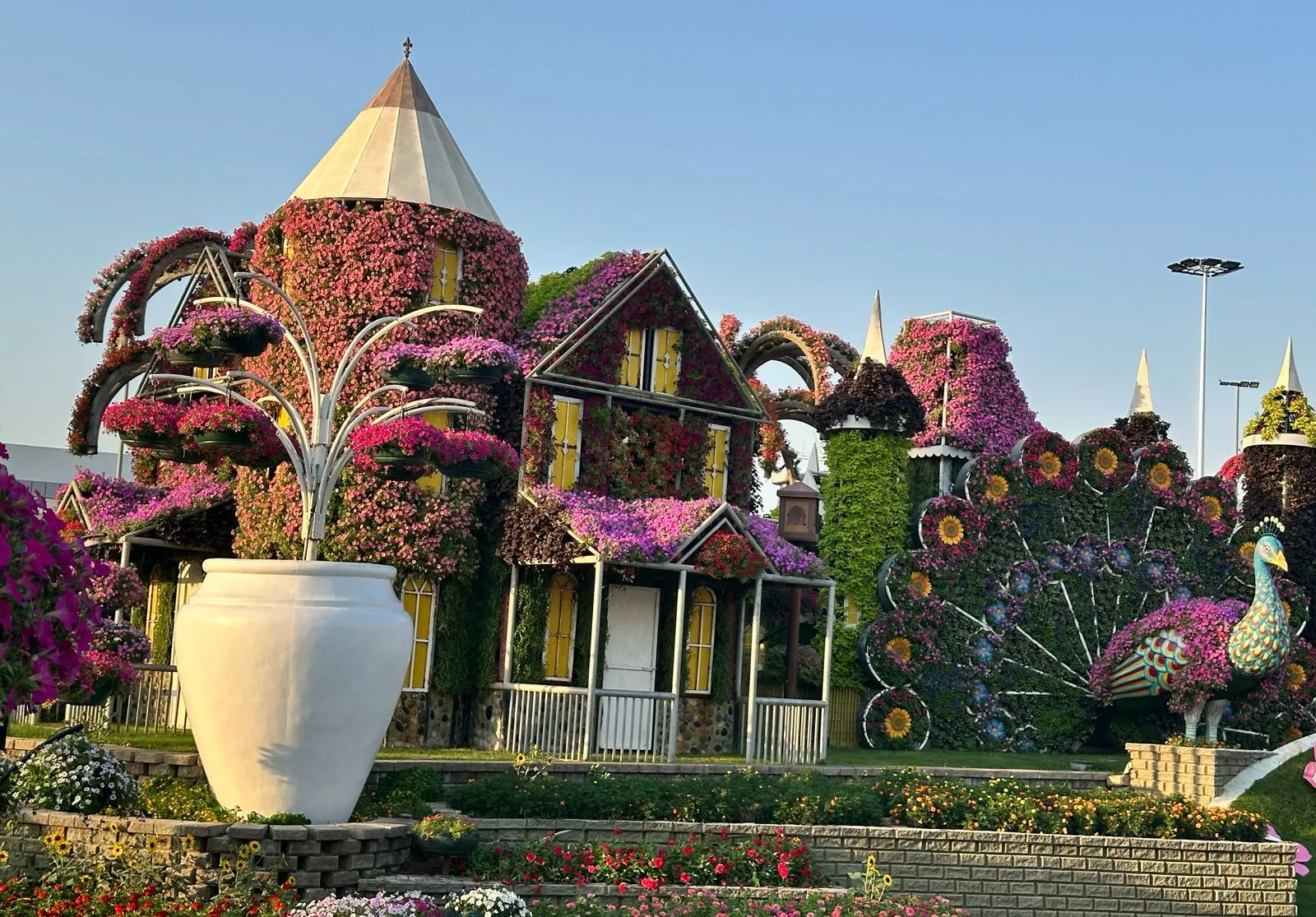  Dubai Miracle Garden