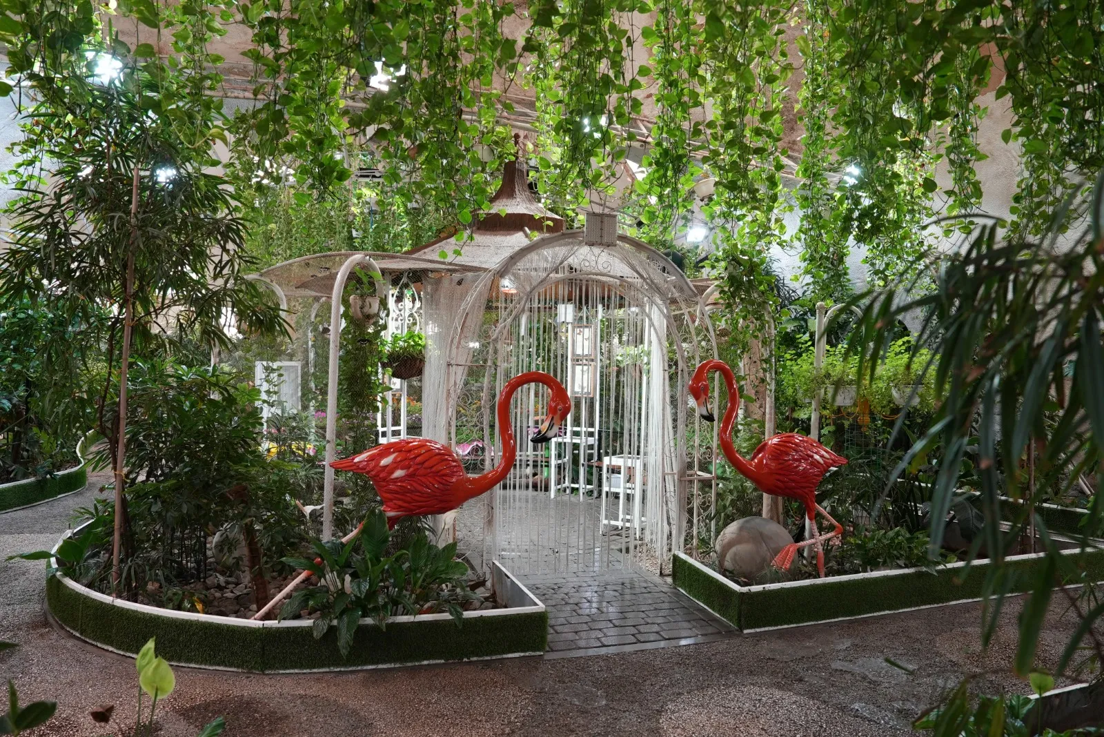 Dubai Butterfly Garden