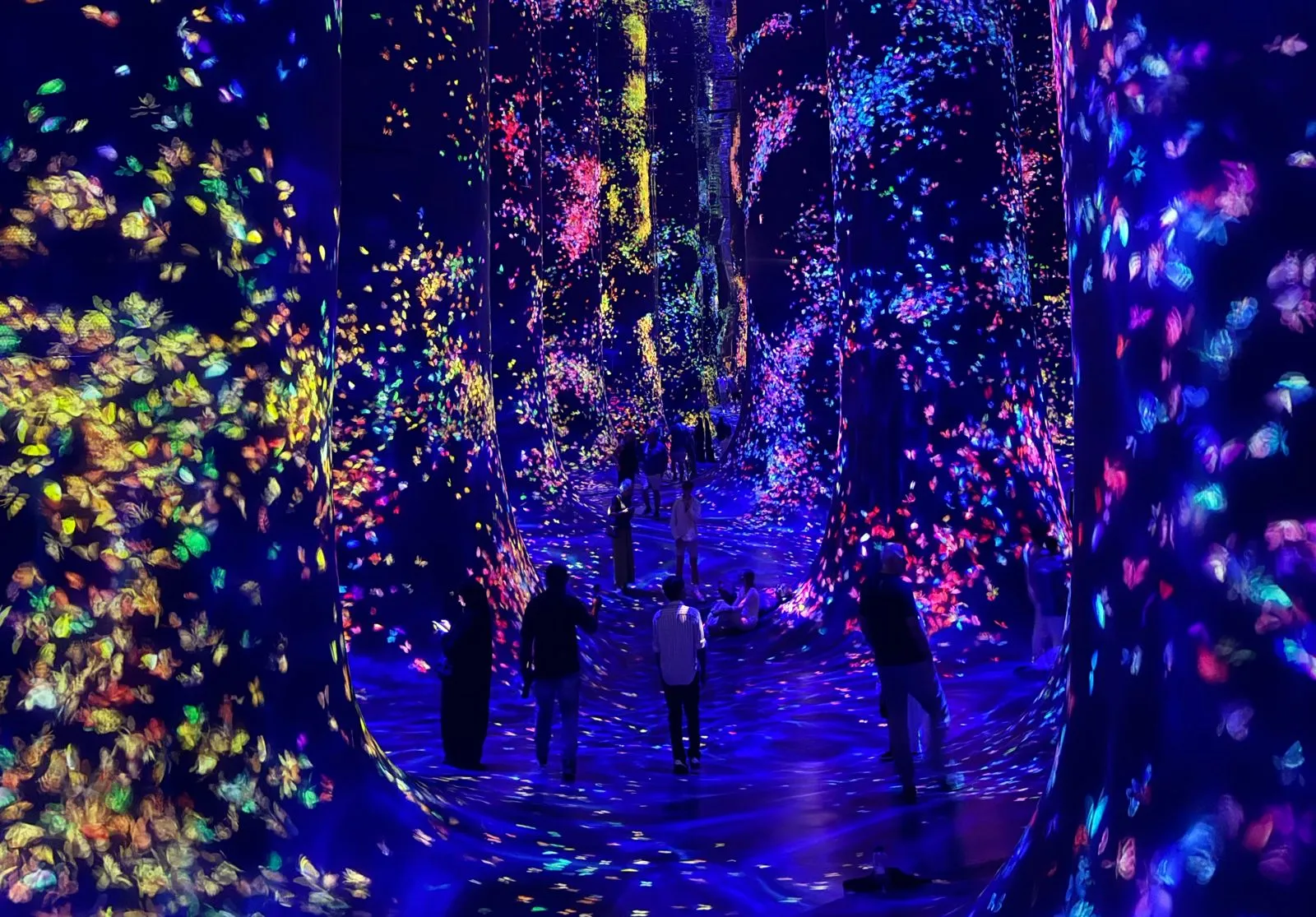 teamLab Phenomena Abu Dhabi