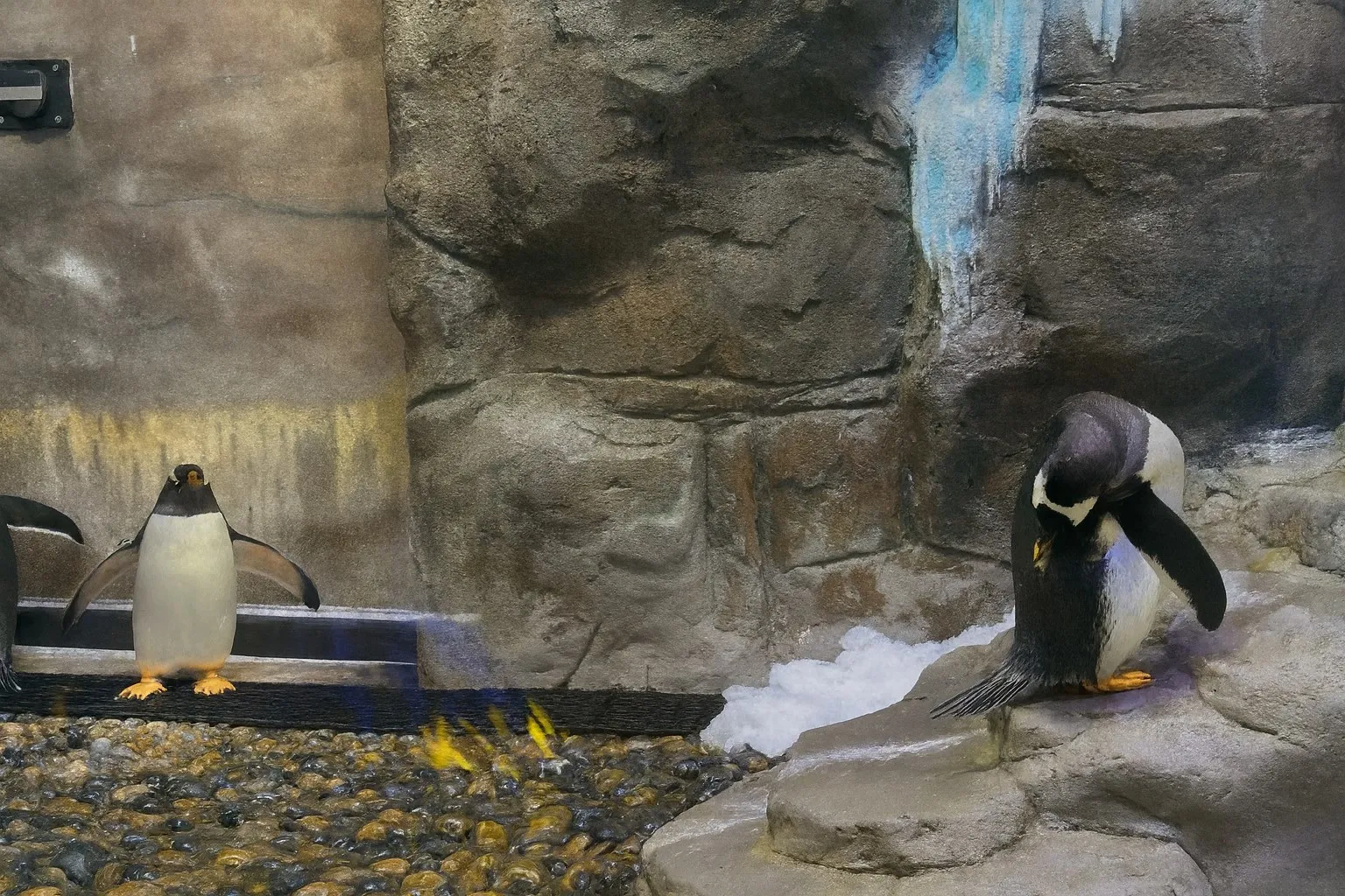 Dubai Aquarium & Underwater Zoo