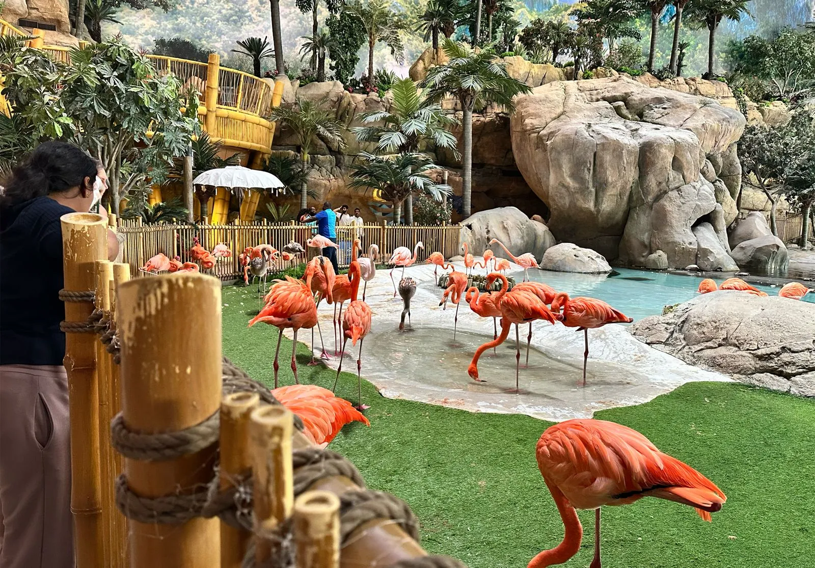 SeaWorld Yas Adası-Abu Dabi