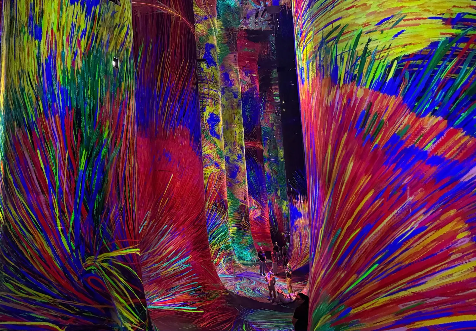 teamLab Phenomena Abu Dhabi