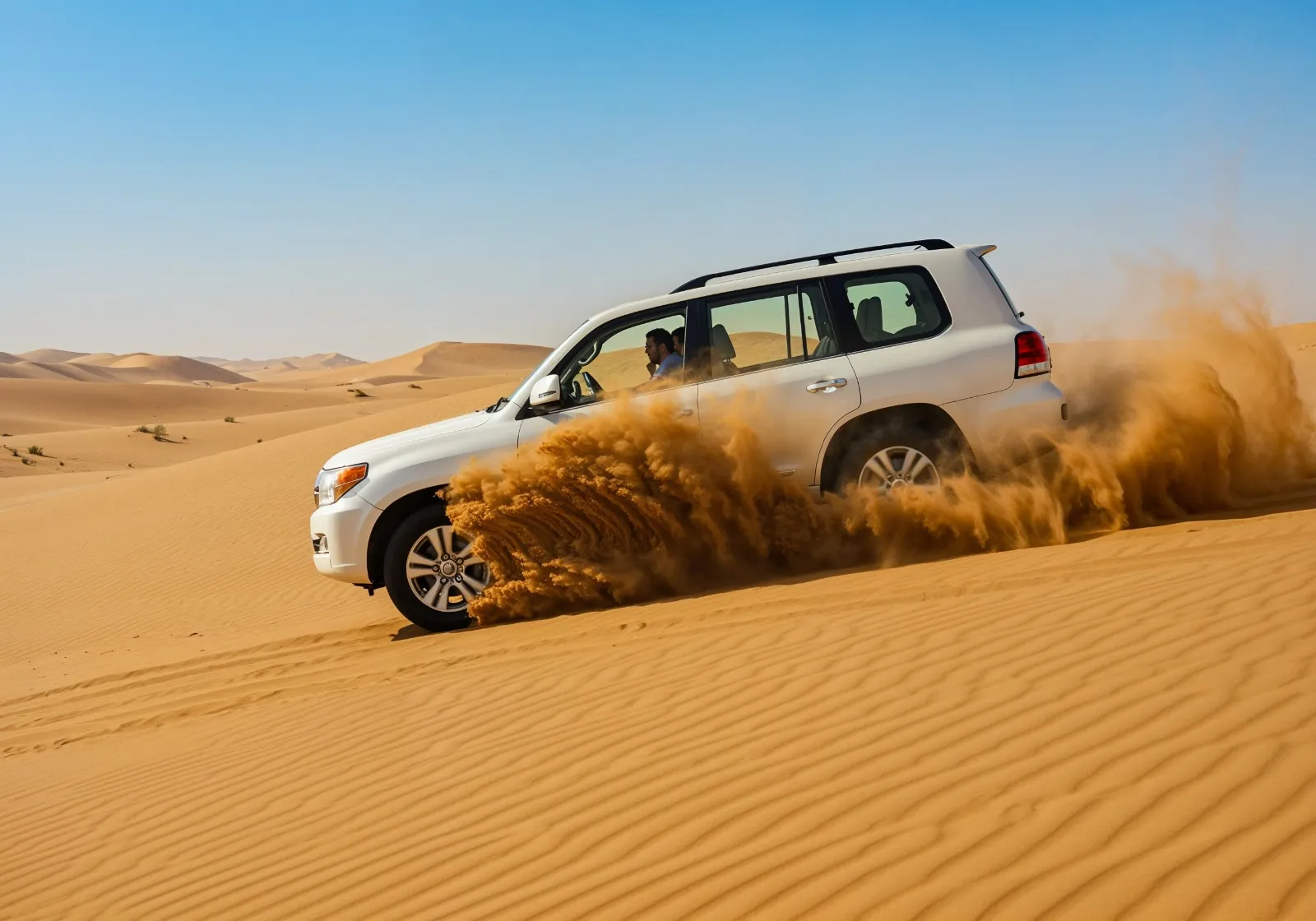 Dubai Desert Safari Tour