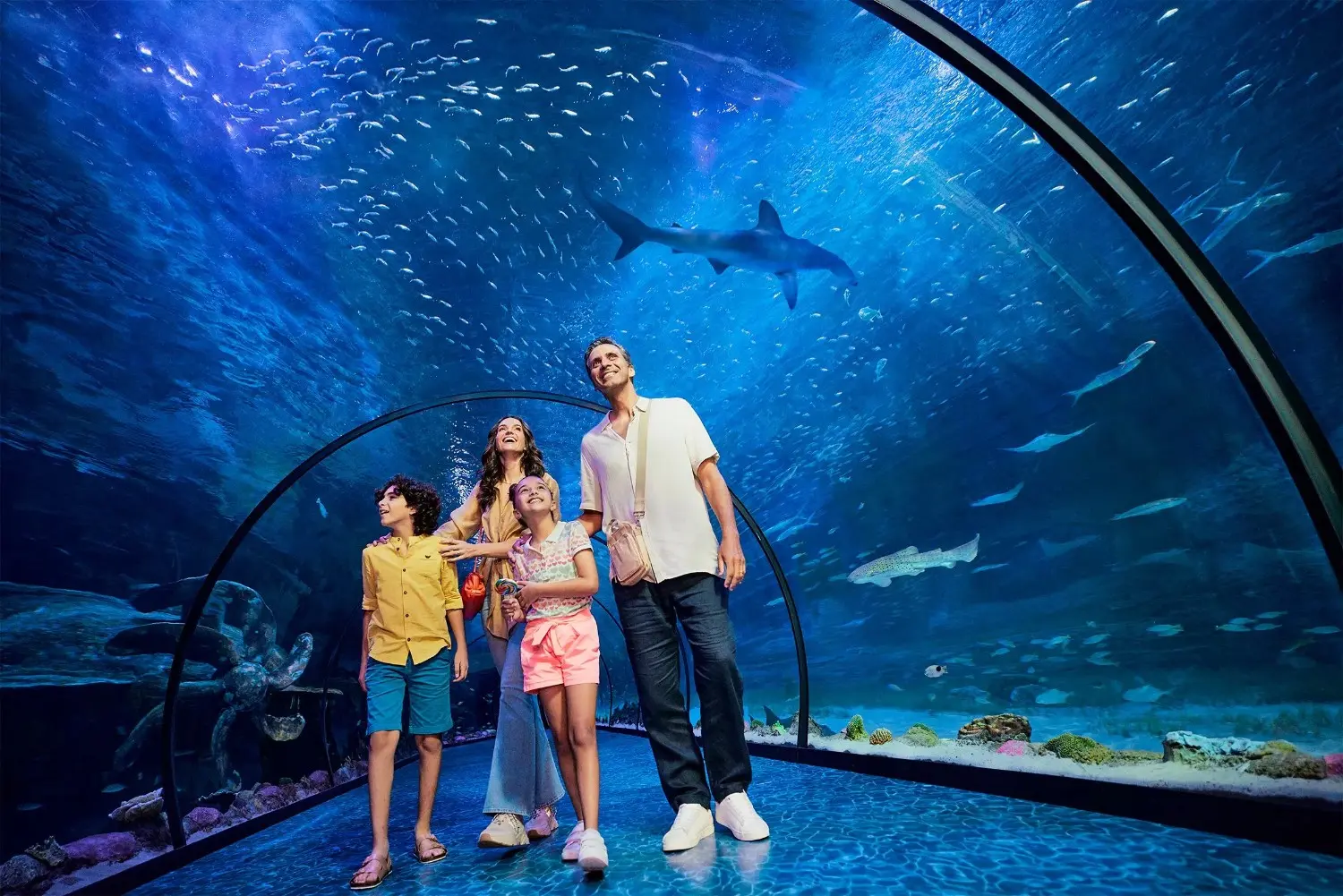 Abu Dhabi Iconic Places Tour